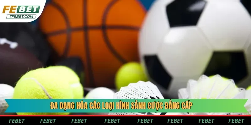 Đối tác thể thao Febet giúp tạo ra sự đa dạng trong loại hình đặt cược